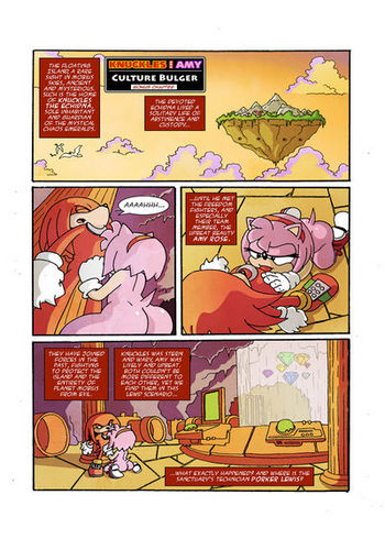 Knuckles And Amy - Culture Bulger